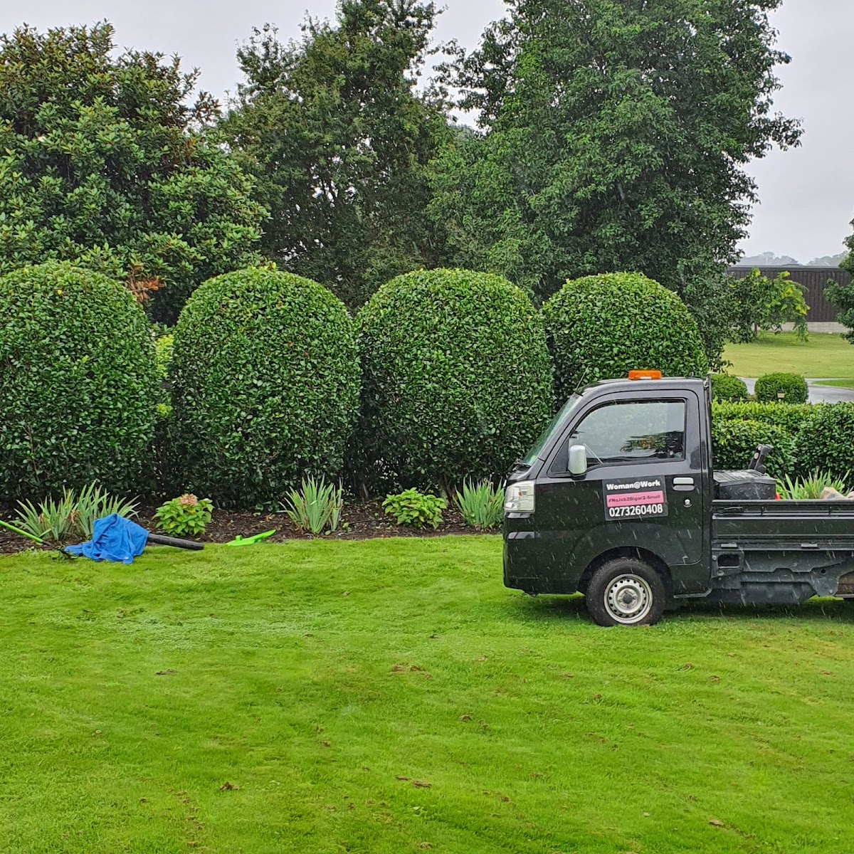 The Woman@work truck parked beside a row of neatly clipped topiary in Tauranga