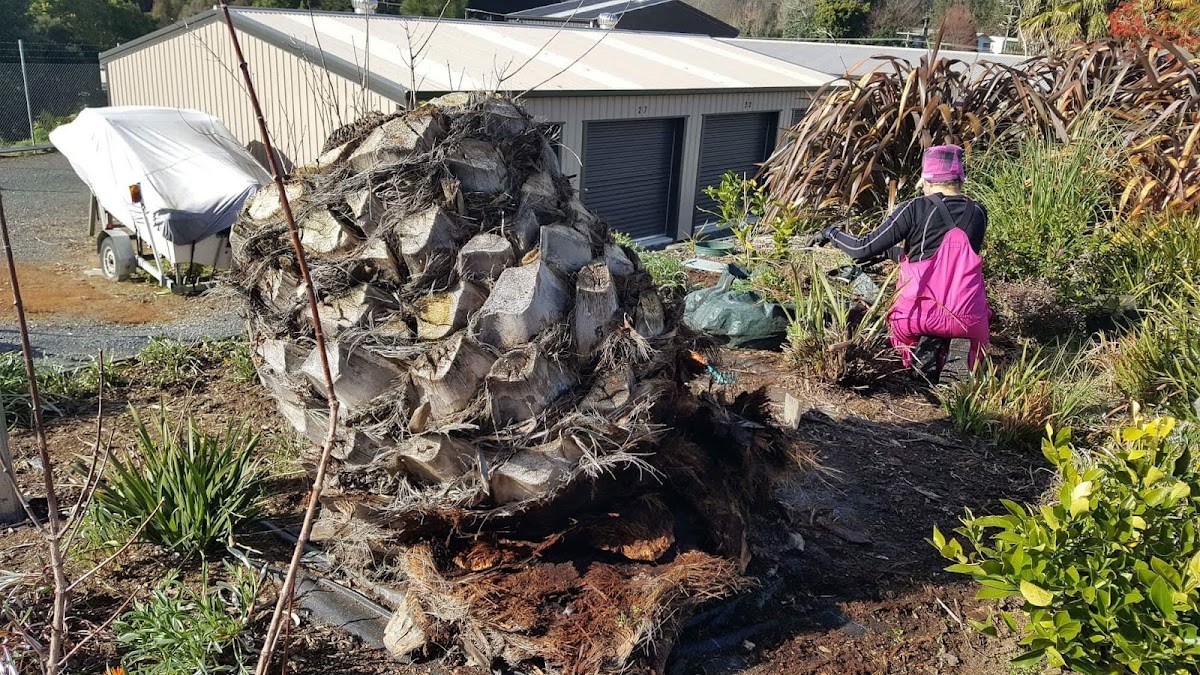 A Woman@work team member in pink work gear clearing a large stump by hand