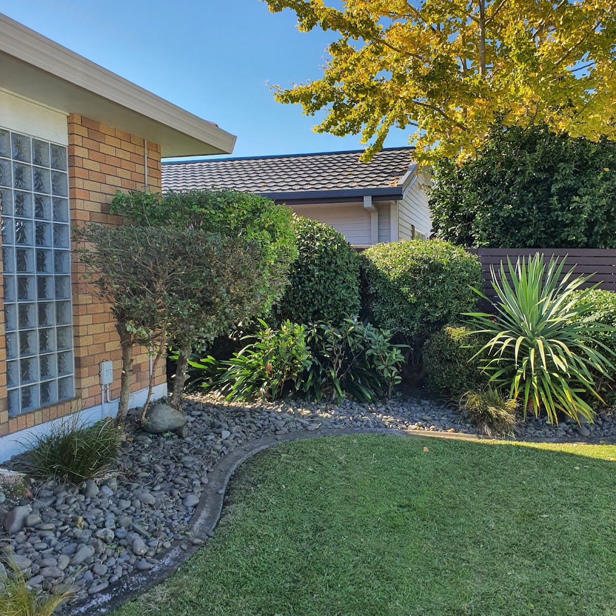 Restored front garden with rock border and topiary in Tauranga