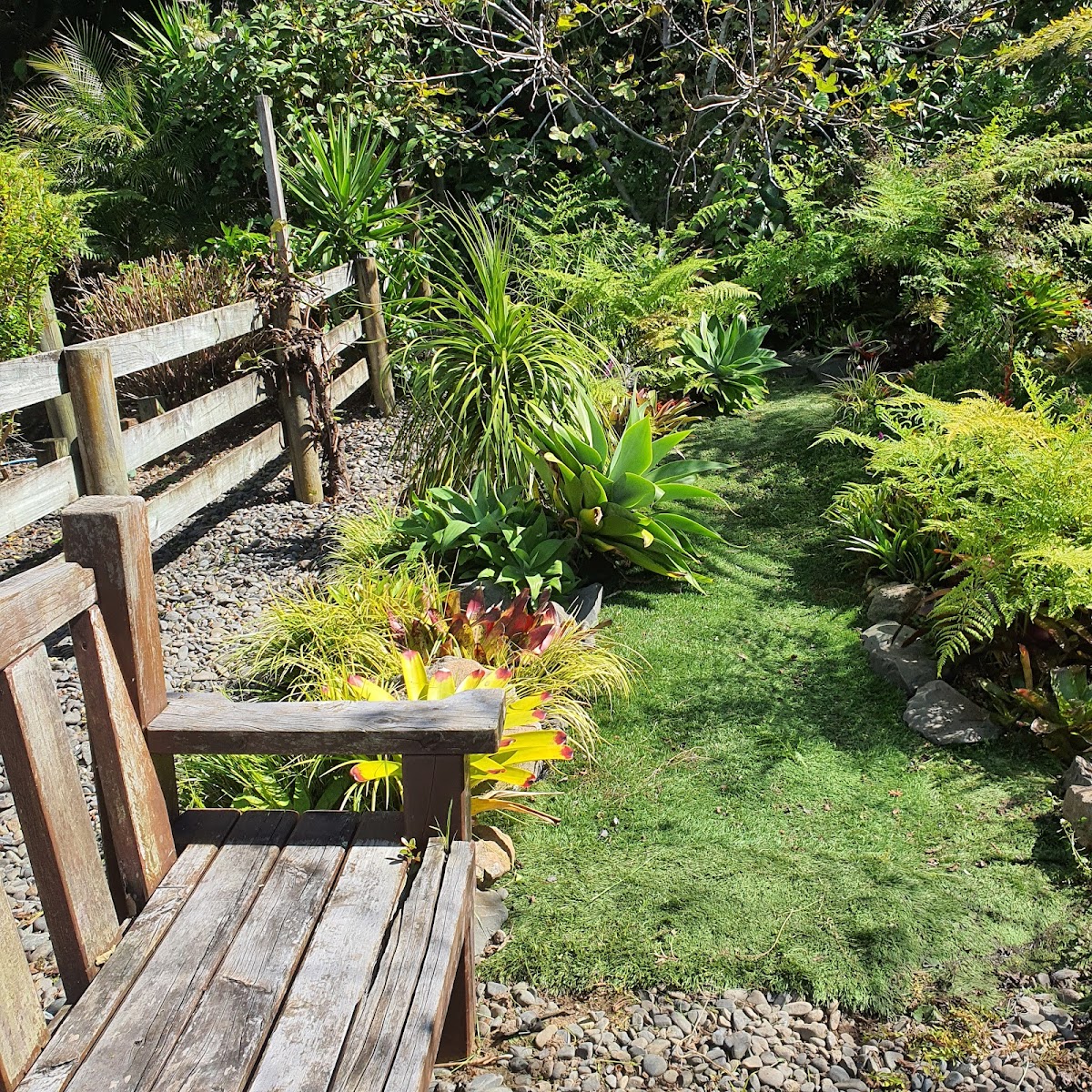 Established subtropical garden with a timber bench